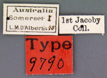 Media type: image; Entomology 9790   Aspect: labels